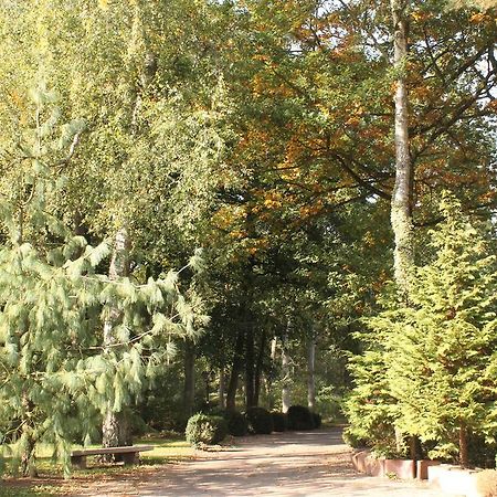 Hotel Und Restaurant Waldschloesschen Crivitz Zewnętrze zdjęcie